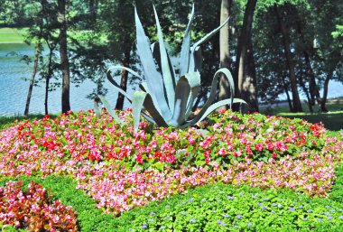 A flower bed with flowers in summer in the park Kuzminki clipart