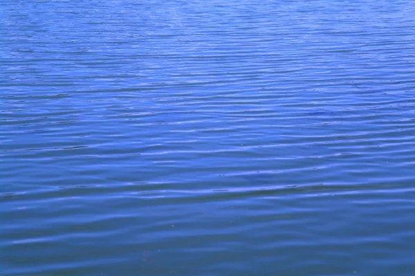 Ripples in the lake in summer — Stock Photo, Image
