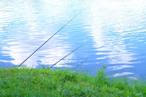 Ruten am See im Sommer, kuzminki, moskau, russland — Stockfoto