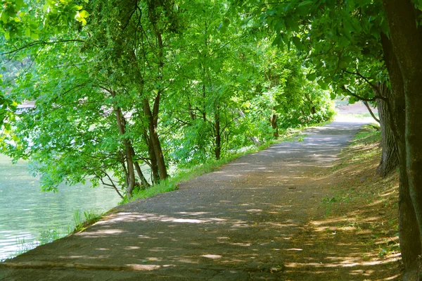 公園 kuzminki で夏の間に湖の上の通路 — ストック写真