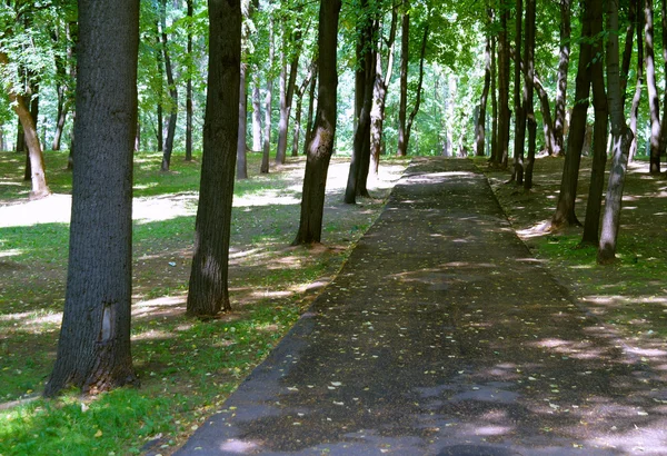 Hout voetgangers weg in de zomer in het park kuzminki — Stockfoto