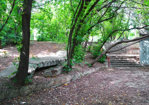 在公园的树木在夏天的时候，旧楼梯 — 图库照片