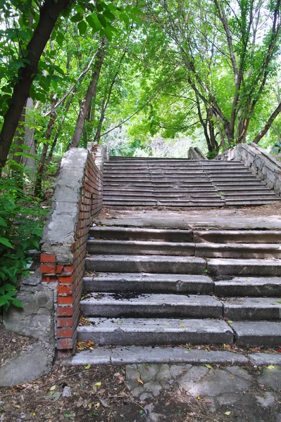 De oude trap in de bomen in de zomer in het park — Stockfoto