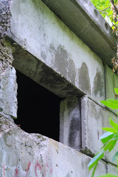 Fenêtre dans un vieux bâtiment abandonné en été dans le parc — Photo