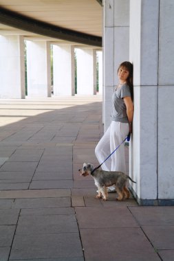 küçük köpek schnauzers sütunları karşı olan kız