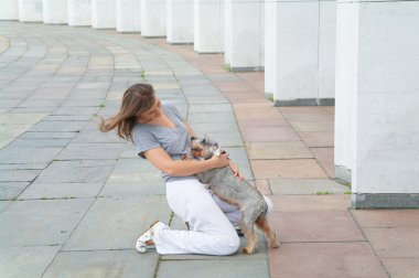 küçük köpek schnauzers sütunları karşı olan kız