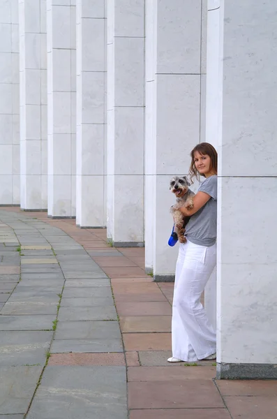 Menina com um cão pequeno schnauzers contra as colunas — Fotografia de Stock