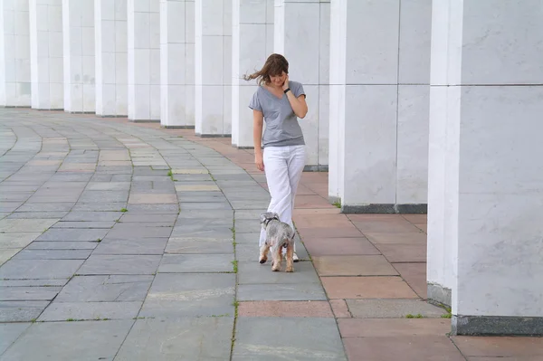 Menina com um cão pequeno schnauzers contra as colunas — Fotografia de Stock