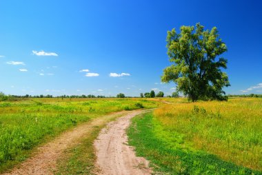 Yalnız ağaç ve lea içinde toprak yol