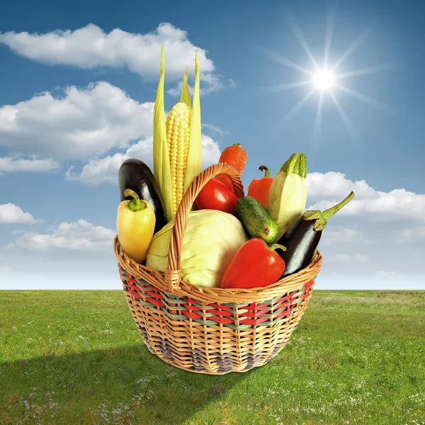 Basket for picnic with vegetables