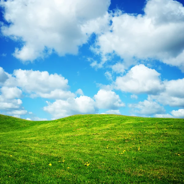 绿色夏季草甸和多云的蓝色天空 — 图库照片