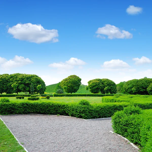 Jardim ornamental verde — Fotografia de Stock