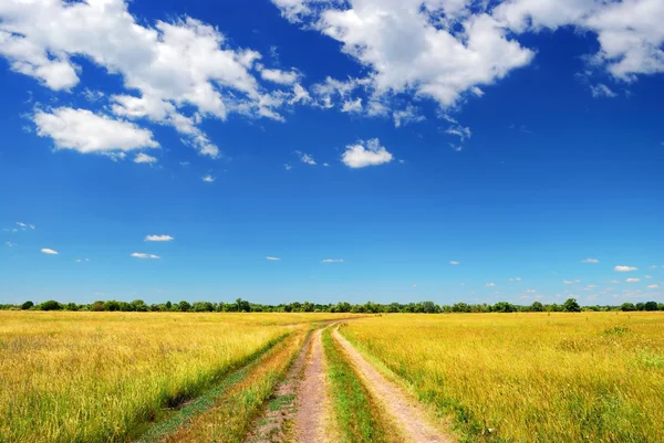 Landweg in zomer veld — Stockfoto