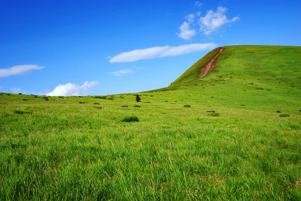 Grön kulle med väg — Stockfoto