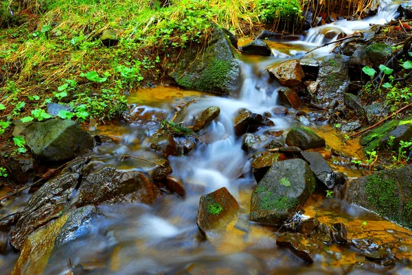 Fluxo de montanha com água limpa e pedras musgosas — Fotografia de Stock