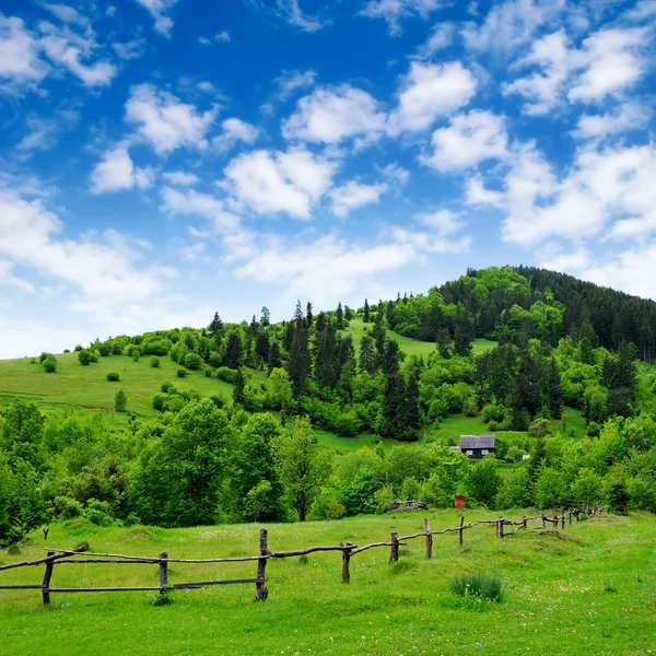 Grünland mit Zaun und Bauernhaus — Stockfoto