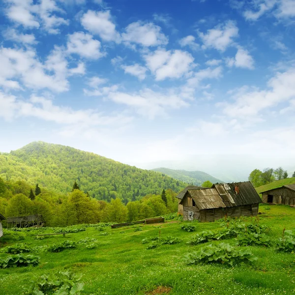 산 골짜기와 판 잣 집 — 스톡 사진