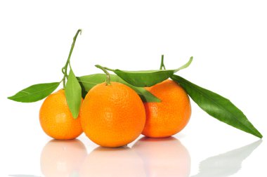 Tangerines clipart
