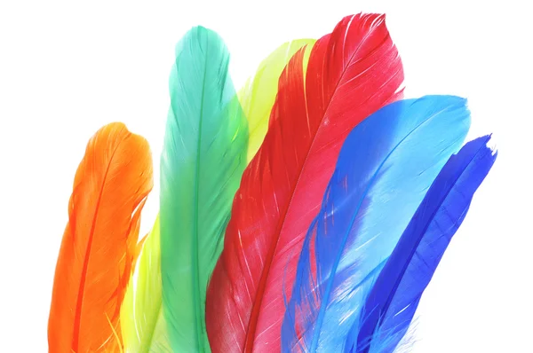 다양 한 색상의 깃털 — 스톡 사진