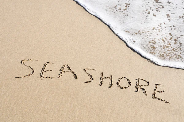 Seashore — Stock fotografie