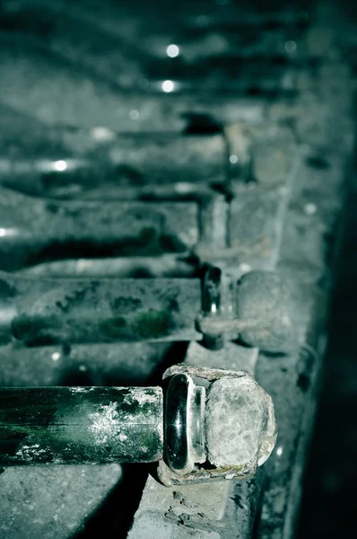 Spanish cava bottles in a wine cellar — Stock Photo, Image