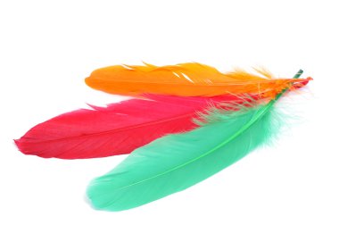 Feathers of different colors clipart