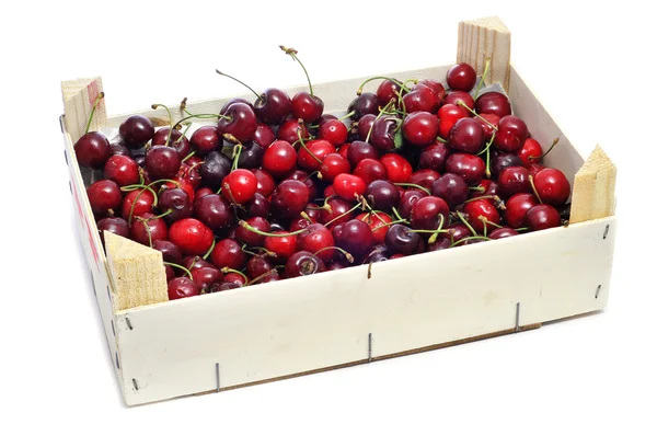 stock image Cherries crate