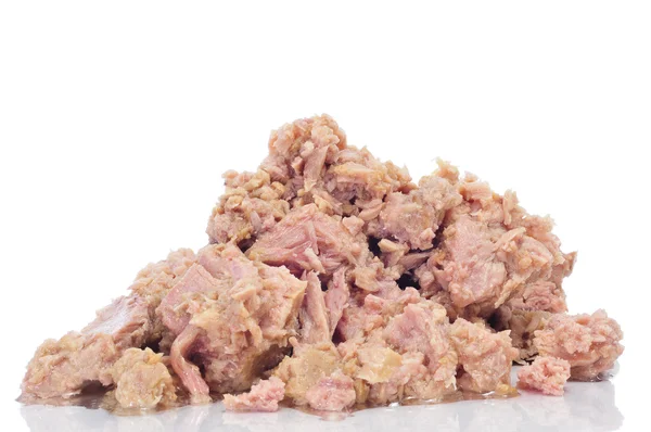 참치 고기 — 스톡 사진