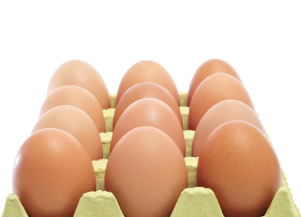 Brązowe jaja — Zdjęcie stockowe