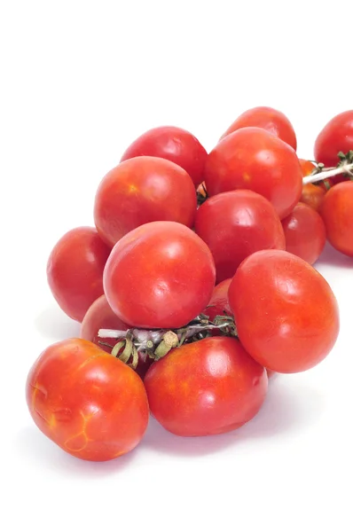 Pomodori cimelio — Foto Stock