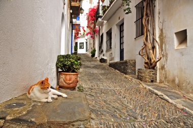 A street of Cadaques, Spain clipart