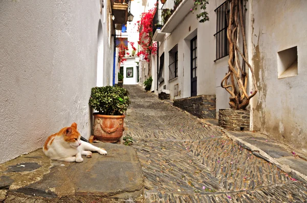 Una calle de Cadaques, España — Foto de Stock