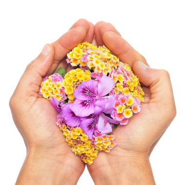 Handful of flowers clipart