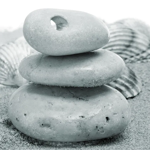 石と貝殻 — ストック写真