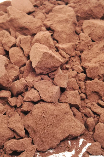 Cocoa powder — 图库照片