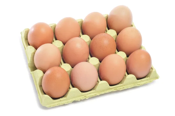 卵卵のカートン — ストック写真