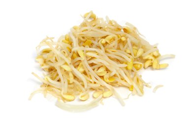 Soybean sprouts clipart