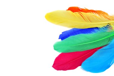 Feathers of different colors clipart