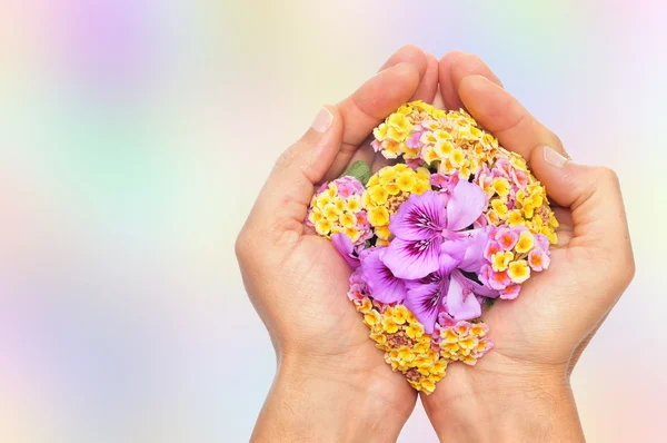 Eine Handvoll Blumen — Stockfoto