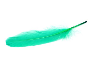 Blue feather clipart