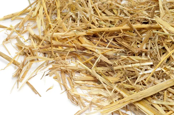 Pile of straw — Stock Photo, Image