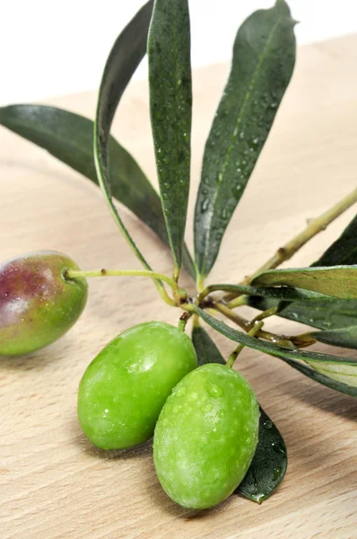 Olive bunch — Stock Photo, Image