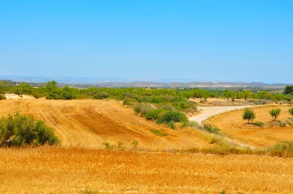 Mediterranean landscape of cereal fields after harvesting — Stock Photo, Image
