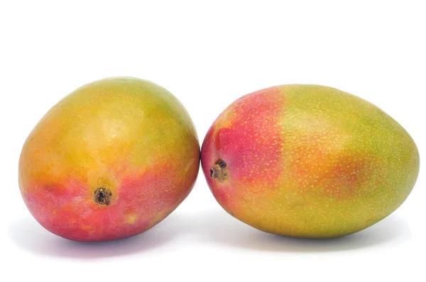 망고 과일 — 스톡 사진