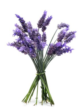 Lavender clipart