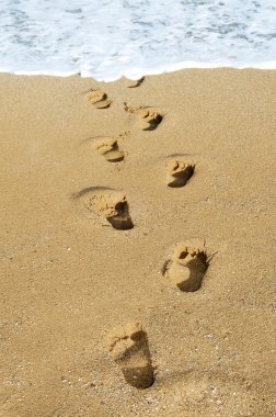 Footprints in the sand clipart