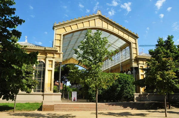 L'umbracle 在 parc de la 休达德亚，巴塞罗那，西班牙 — 图库照片