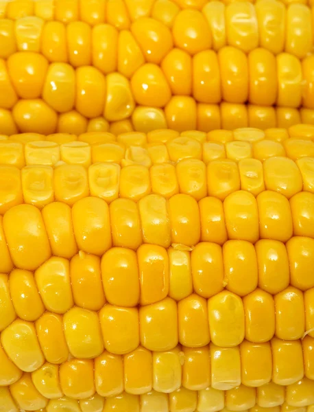 Cooked corncobs — Stock Photo, Image