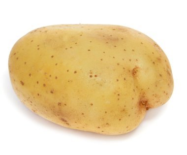 Raw potato clipart