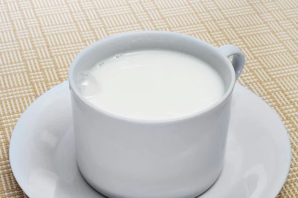 Bardak süt — Stok fotoğraf